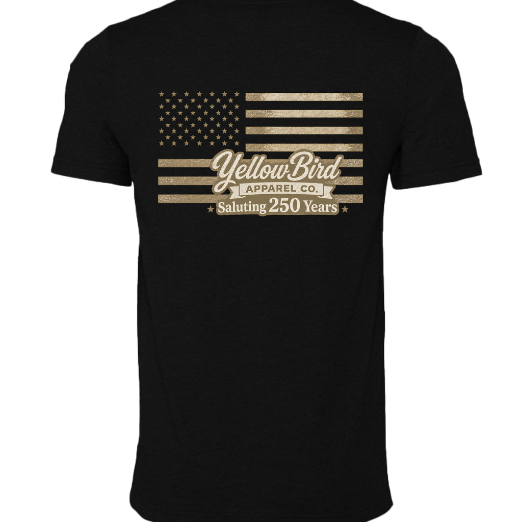 BLACK HEATHER - 3001CVC - BACK
